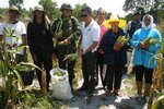 Police last week cleared mines from a cornfield in the village of Prawai in southern Thailand. Directed by Police Captain Thana Wechanukro, third from left, and Chaiyot Neumake, Tak Bai chief district administrator, the sweep allowed local farmers to harvest their crop. [Photo courtesy of Bangnara ]