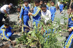 Students at Giwangan Elementary School in Yogyakarta plant tree seedlings and shrubs as part of the city's 