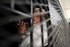 Ulama radikal Indonesia dan pendiri Jamaah Islamiyah (JI) Abu Bakar Bashir melambaikan tangan dari kendaraan polisi setelah divonis bersalah di Jakarta atas tuduhan terorisme pada bulan Juni 2011. [Romeo Gacad/AFP] 