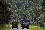 Malaysian police and army trucks pass each other in Lahat Datu in Sabah state on March 3rd. Thousands of Indonesians work on palm oil plantations in Sabah; hundreds have been evacuated since armed Filipino intruders triggered a security crisis there. [Mohd Rasfan/AFP].